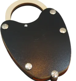 Alpha Lock ? Brain Teaser Wooden Puzzle
