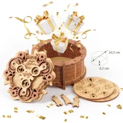 Birthday Cake Gift Puzzle Box IQ Escape Puzzle By iDventure