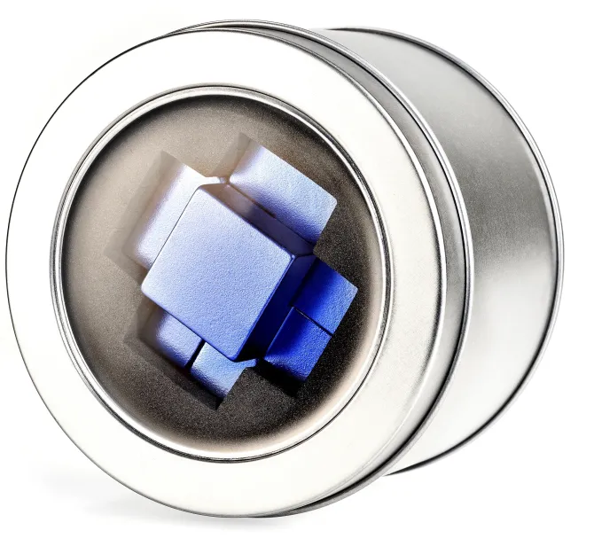 Fortress - Interlocking Brainteaser Metal Puzzle