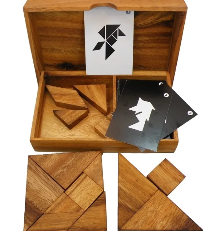Logic Tangram Set with Play Cards Wooden Puzzle Game