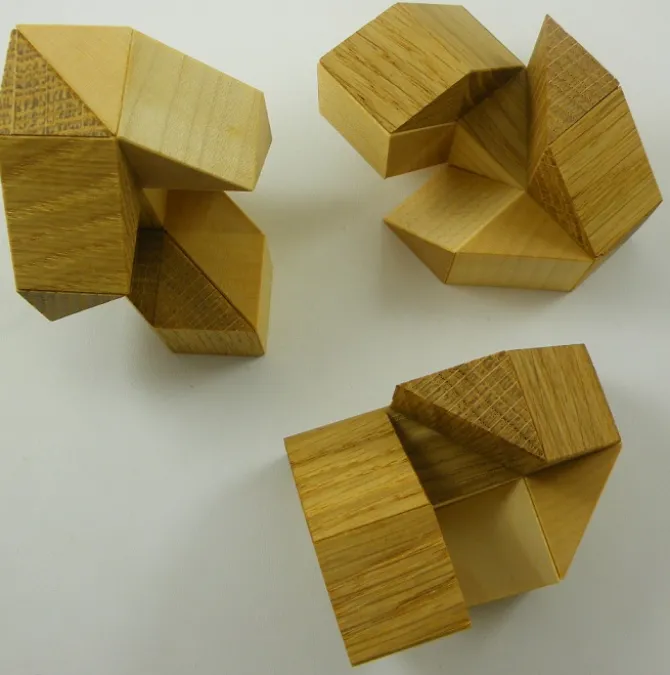 Ribs - Brain Teaser Wooden Puzzle