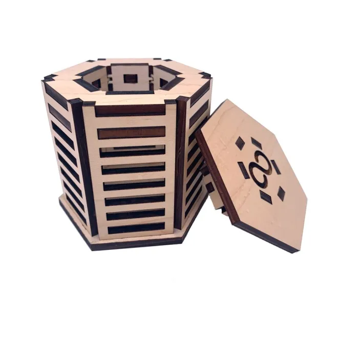 Silvaneo Wooden Puzzle Box IQ Logic 3D Puzzle