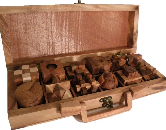 12 Wooden Puzzles Set In Wooden Suitcase